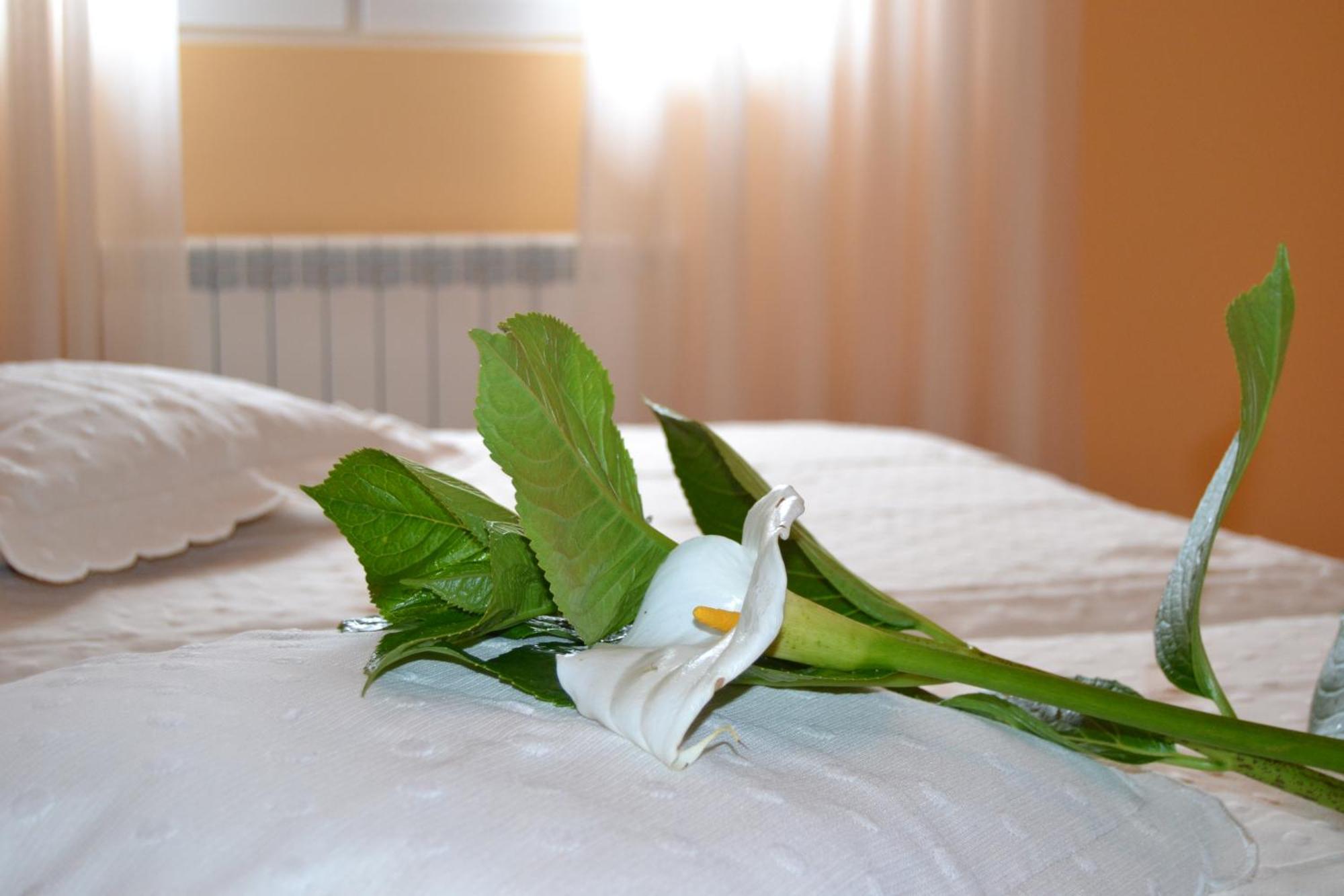 Hostal Pereirina セー 部屋 写真